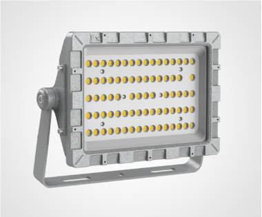 Explosion-proof Light